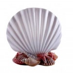 شوێنی فڵچەی ددانی Incı