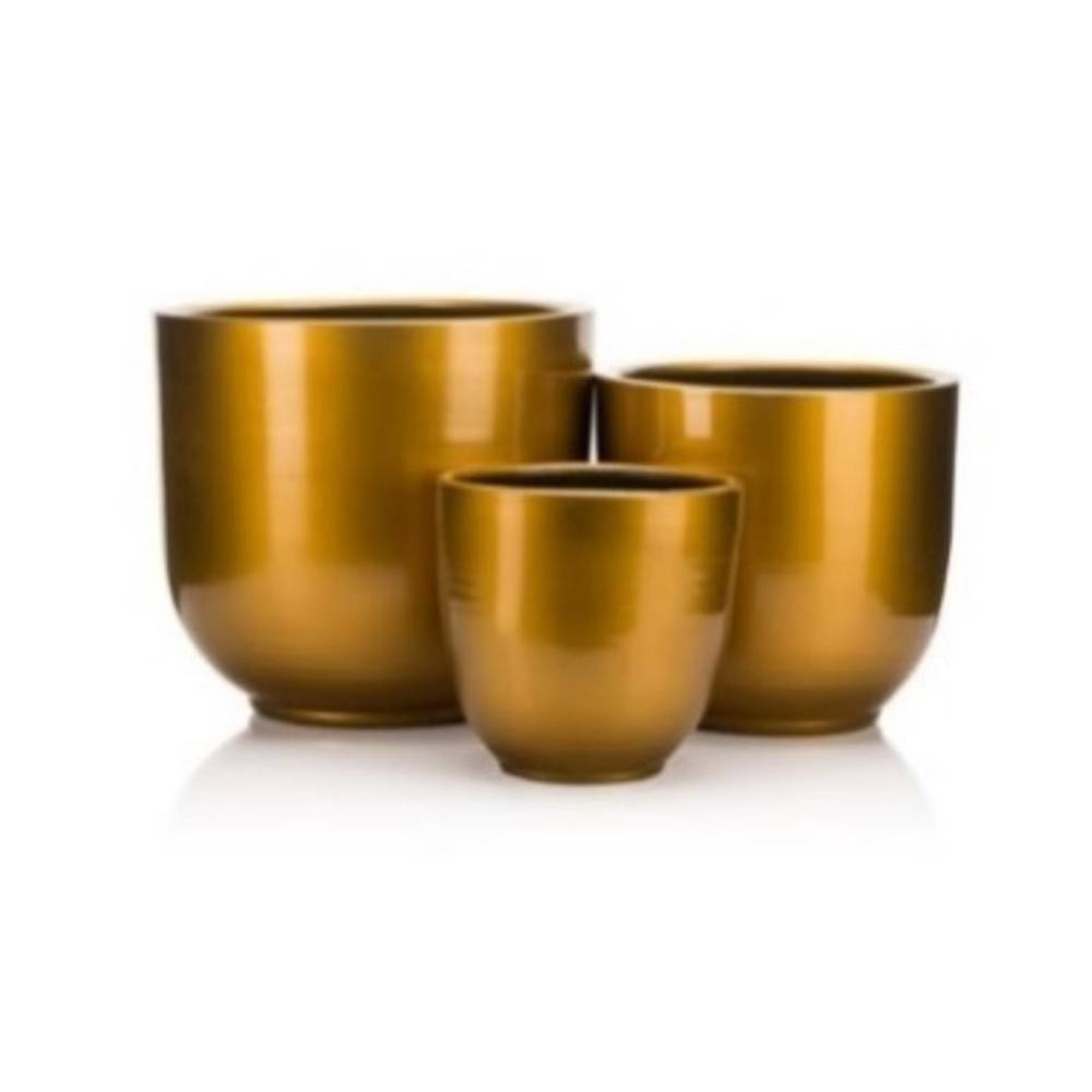 No:6ئینجانەی گڵی ساردونیای ئاڵتونی