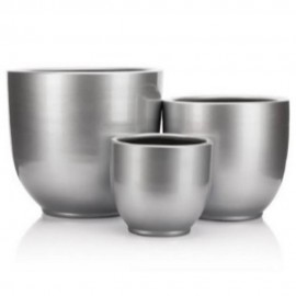 No:2ئینجانەی گڵی ساردونیای زیوی