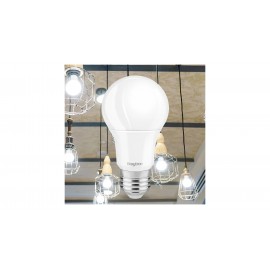 گڵۆپی لێدی A60 جەستەی پلاستیک 9 واط E27 ڕووناکی سپی 6500K - BA13-00923