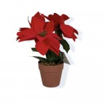 گوڵی سەری ساڵی ئینجانەدار (٣٥ دانە)