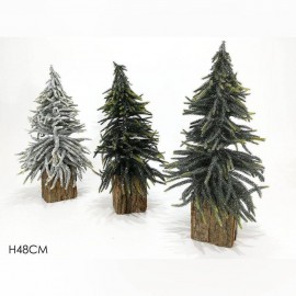 3ASS گوڵی سەریساڵی (٣٥ سم)