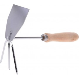 پاچی باخچەی دەستی