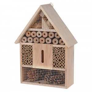 ماڵێ مێرووی تەختەی (٣٠ سم)