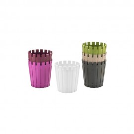 گوڵدانی ئاکاسیا 33 ڕەنگی سپی