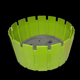 گوڵدانی ئاکاسیا ئاراجمان 33 ڕەنگی سەوز