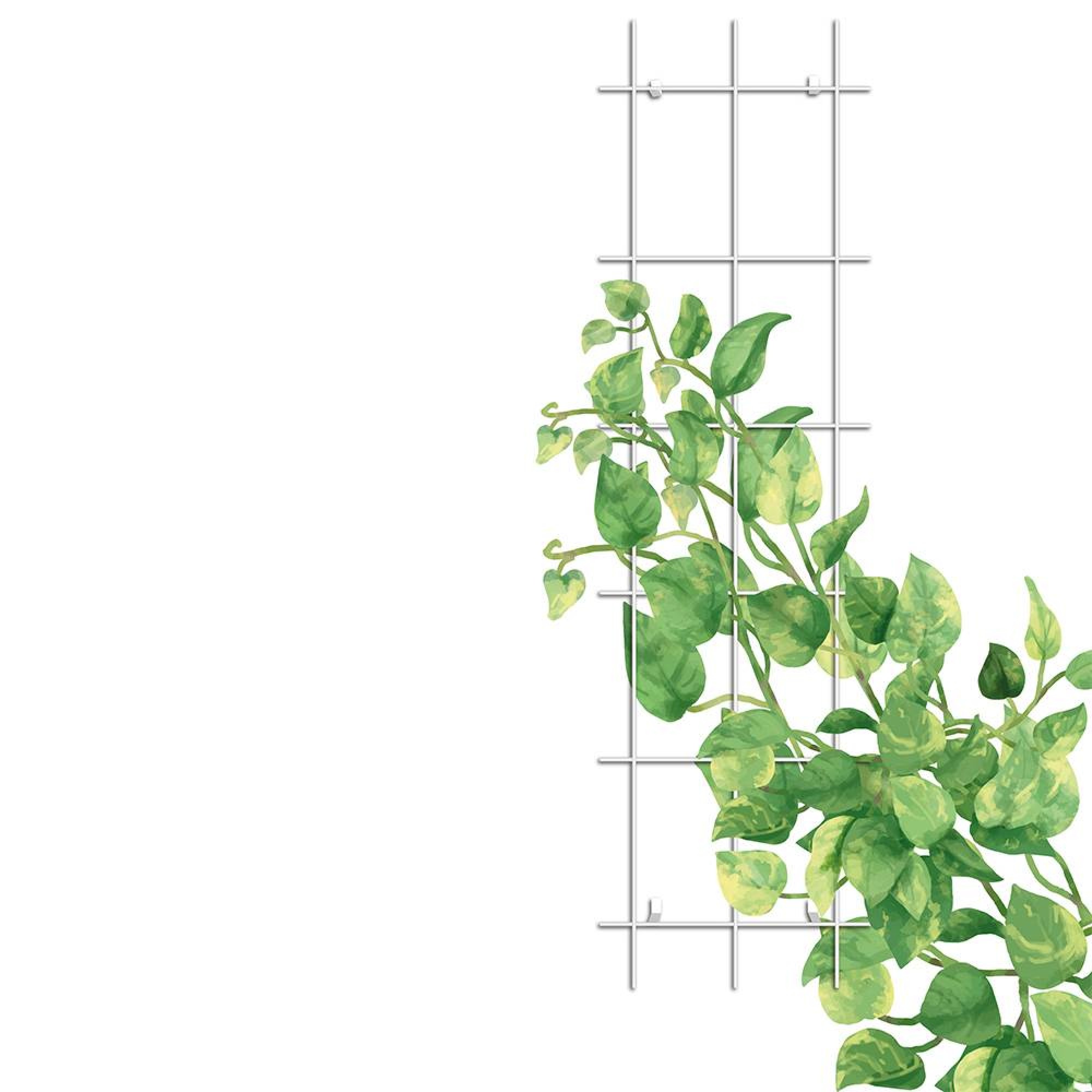 قەفەزی هەڵگەڕانی ڕووەکی سپیی Gardener