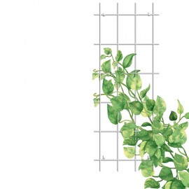 قەفەزی هەڵگەڕانی ڕووەکی سپیی Gardener