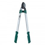 مقەسی بڕینی لقی ئەستووری