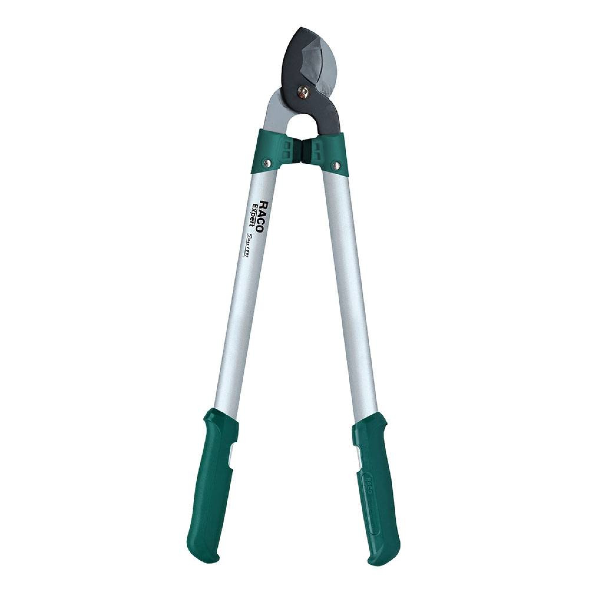 مقەسی بڕینی لقی ئەستووری