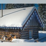 گڵۆپی لیدی شریتی سپیی (٤٠ لید)