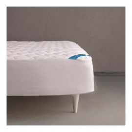 بەرگە دۆشەکی دژە تەربون بە قەباری 90*200*30 سم و کێشی 270 گرام لەمارکەی ئۆتێلۆ