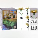 گوڵەبەڕۆژە لەسەر چیلکە ٣ پارچە