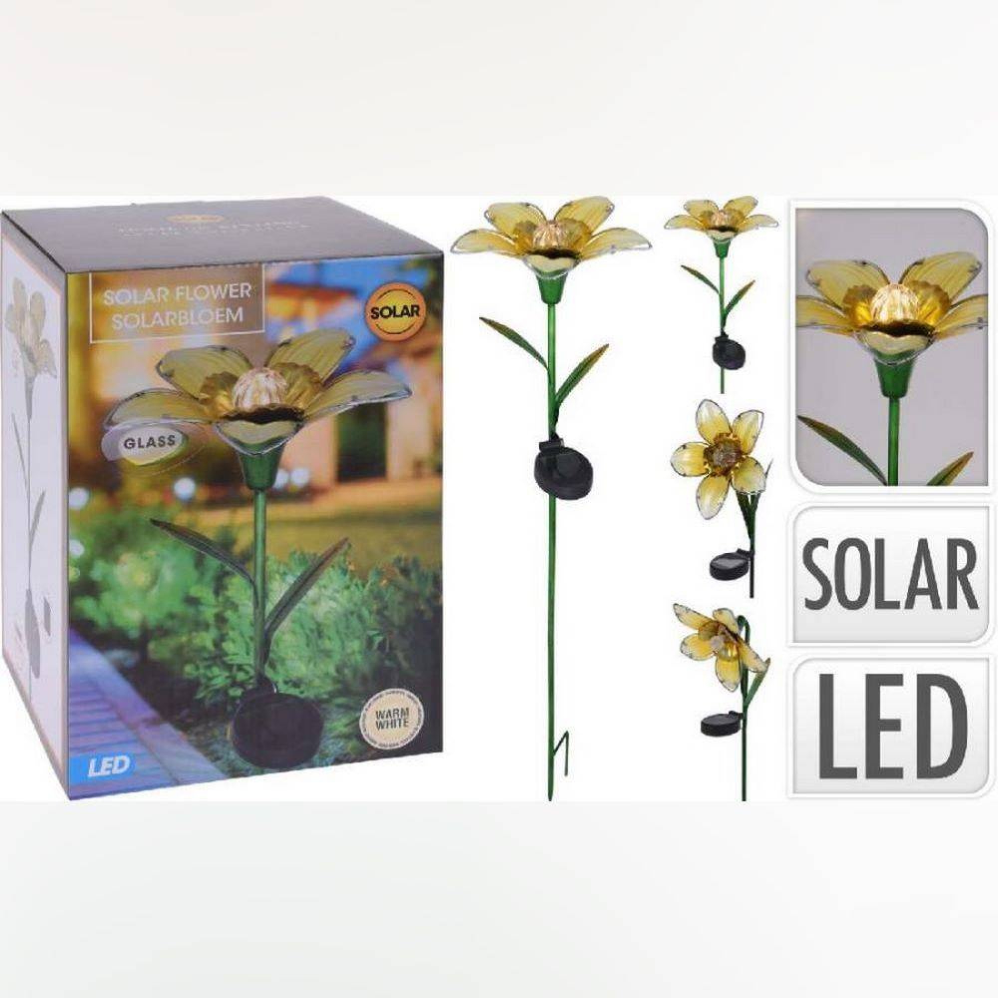 گوڵەبەڕۆژە لەسەر چیلکە ٣ پارچە