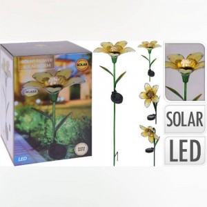 گوڵەبەڕۆژە لەسەر چیلکە ٣ پارچە