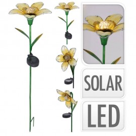 گوڵەبەڕۆژە لەسەر چیلکە ٣ پارچە