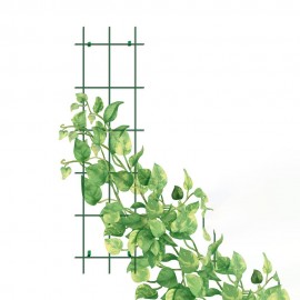 قەفەزی هەڵگەڕانی ڕووەکە خشۆکەکانی سەوزی Gardener