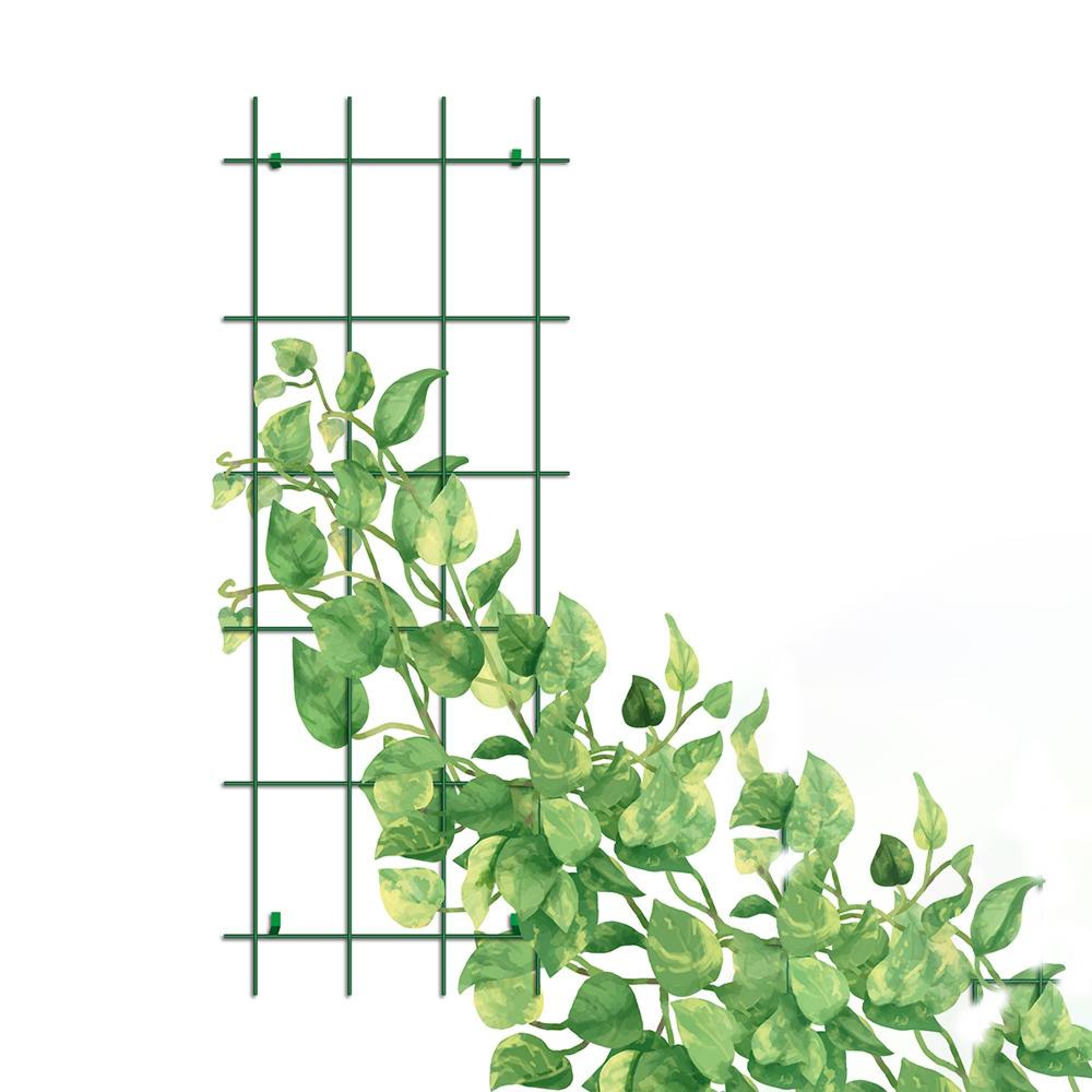 قەفەزی هەڵگەڕانی ڕووەکە خشۆکەکانی سەوزی Gardener