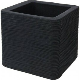 گۆزەگوڵی بڕدراوی چوارگۆشەیی