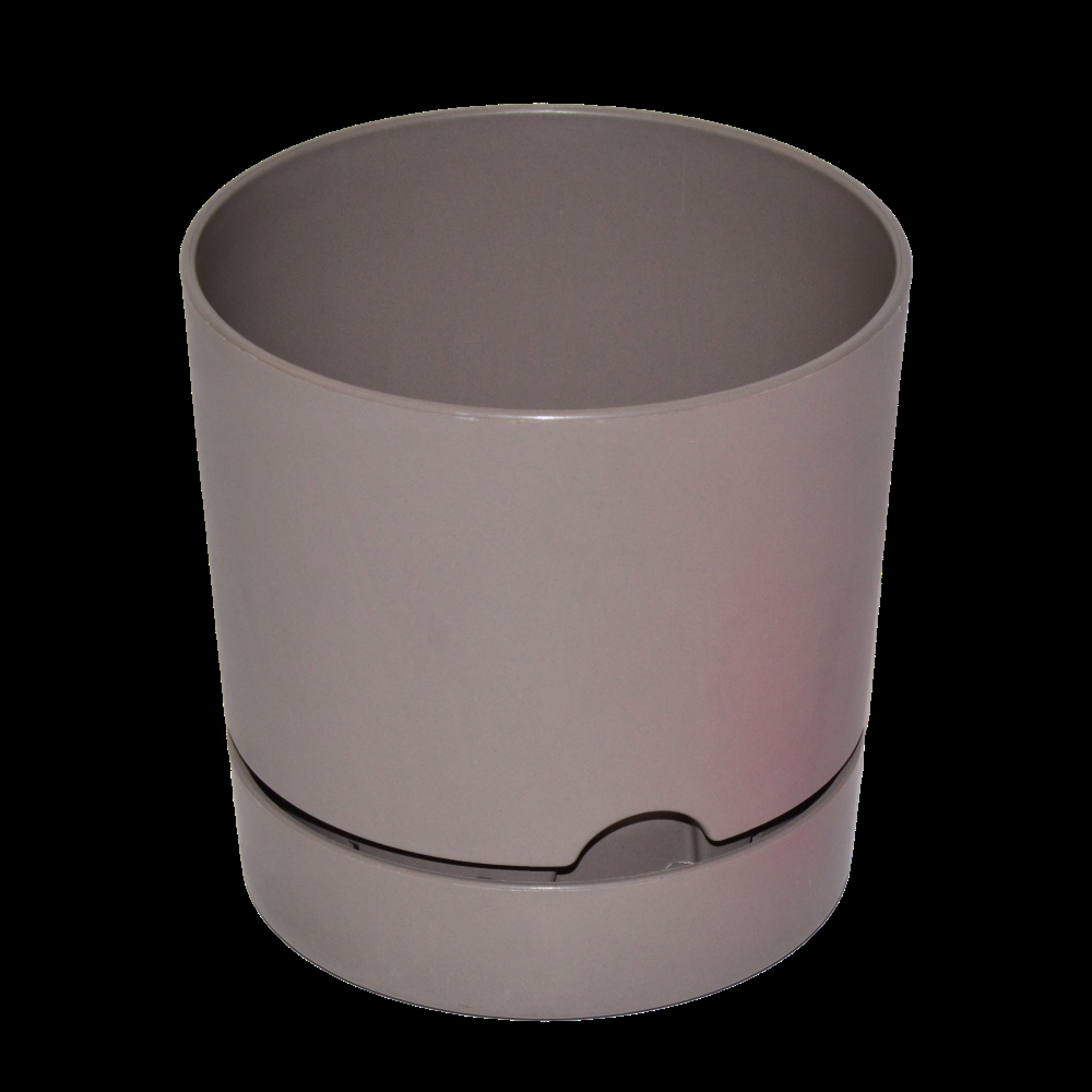 گوڵدانی بێگۆنیا 12 ڕەنگی کرێمی