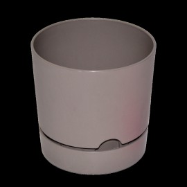 گوڵدانی بێگۆنیا 12 ڕەنگی کرێمی