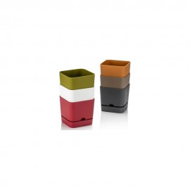 گوڵدانی چوارگۆشەی بێگۆنیا 13 ڕەنگی ئەنتراسایت