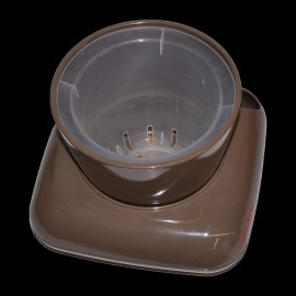 گوڵدانی گالا ڕەنگی قاوەیی