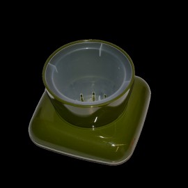 گوڵدانی گالا ڕەنگی سەوز