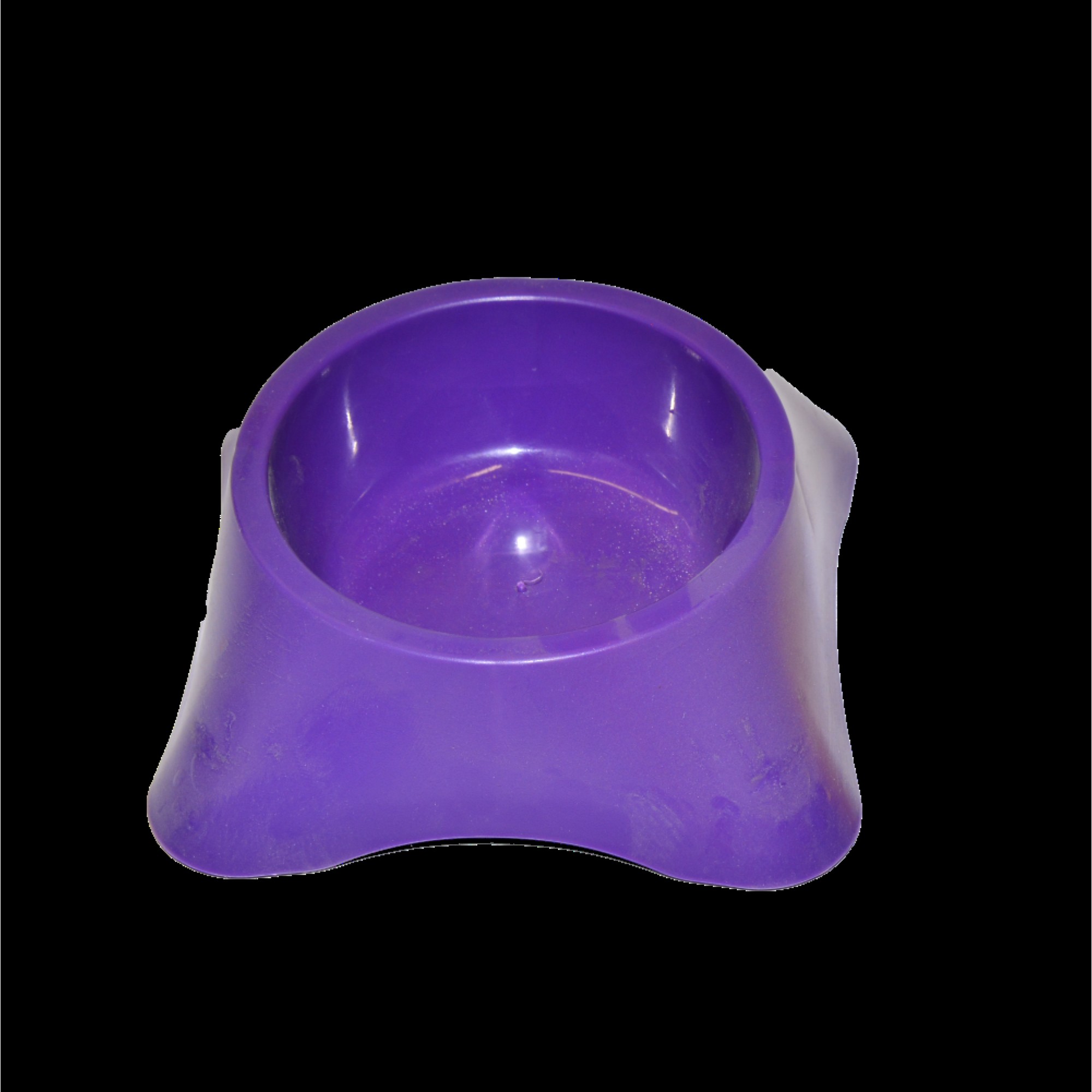 ئیڤۆهێ کاسەی خواردنی پشیلە