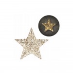 ئەستێرەی مرواریداری ئاڵتونیی (٣٠ سم) لەگەڵ ٢٠ لید