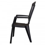 کورسی دیلۆس رەنگی ئەنتراسایت