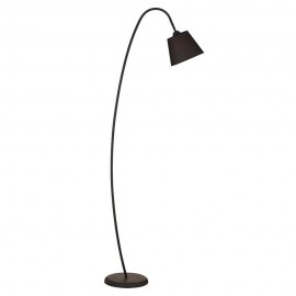 چرای ئەرزی تاکی ڕەش بە کڵاوی کرێمی جۆری ڤێتۆ