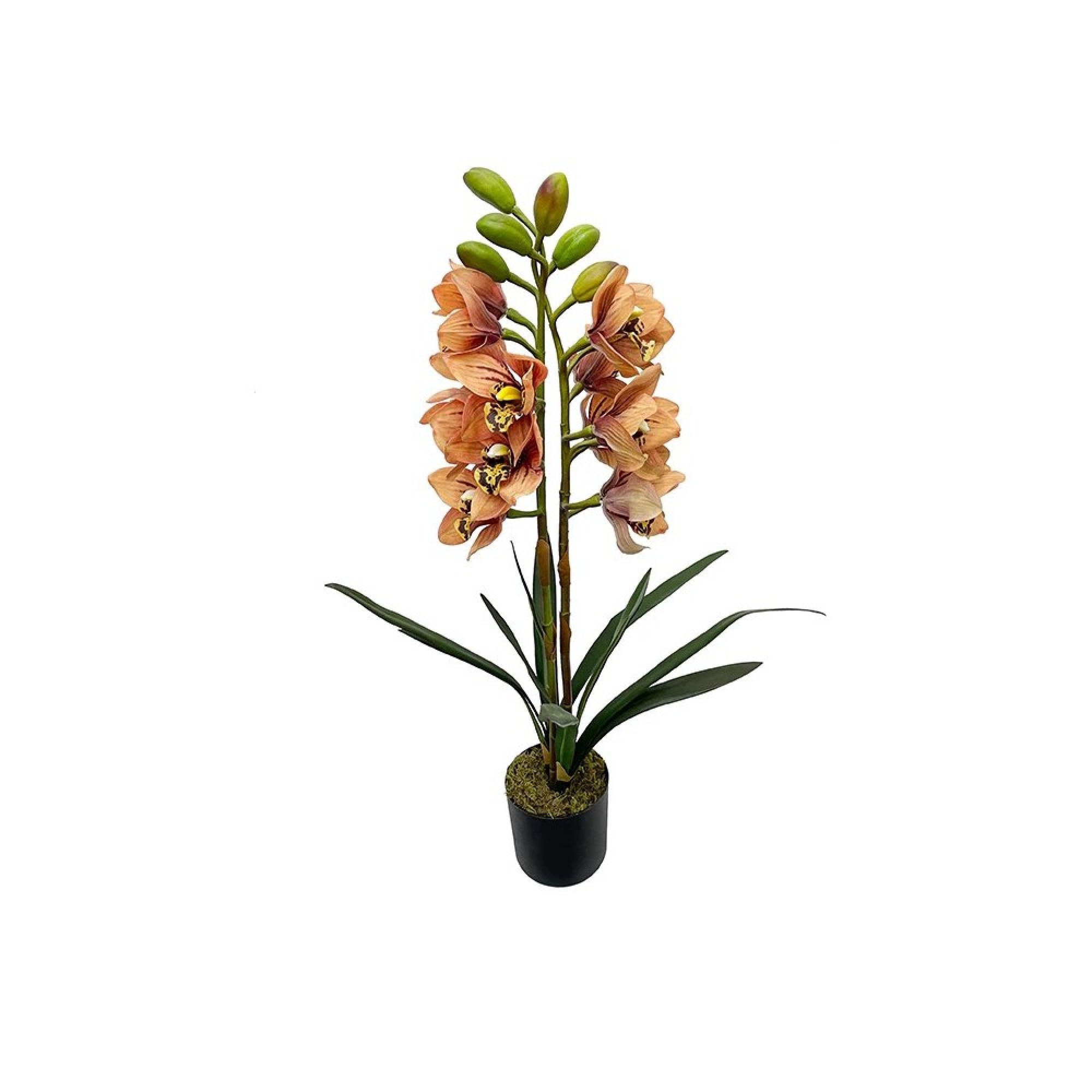 ڕووەکی ئۆرکیدی دەستکرد 80 سم