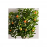 درەختی مەندلینای دەستکرد 130 سم