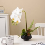 گوڵی ئۆرکیدی دەستکرد 47 سم