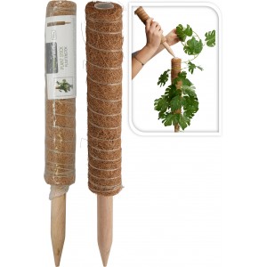دارە شیشی ڕاگرتنی ڕووەک بەرزی ٤٠ سم - CY8954560