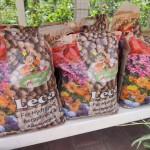 شێدارکەرەوەی ڕووەک 5 LT