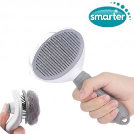 ڕۆلەری لینتی - ڕەساسی