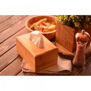 هەڵگری دەستکێش