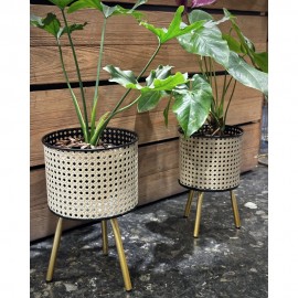 سێتی گوڵدان و ستاندی دووانەیی - 71031