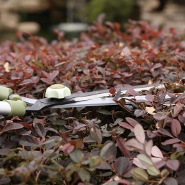 مەقەسی گیابڕین 20 سم - S201A00