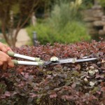 مەقەسی گیابڕین 20 سم - S201A00