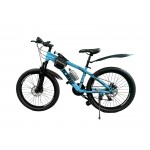 پاسکیل قەبارەی 24