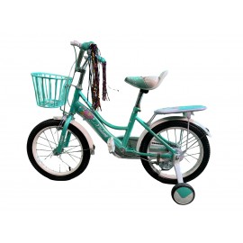 پاسکیل قەبارەی 16