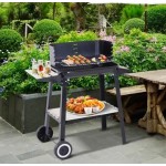 مەقەڵەی باربیکیو 540*340*65 ملم ; C83000600 