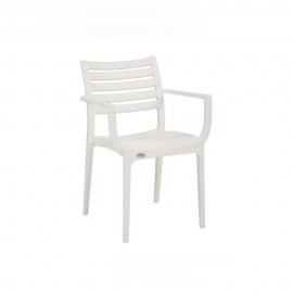 کورسی دانیشتنی باخچە ڕەنگی سپی جۆری زیوس