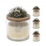 مۆم لە شووشەدا 75 مم رەنگی سپی