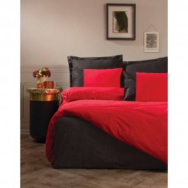 ئاسیر کوتون بوکس تاخمی سەرچەفی پلاین یەک نەفەری رەنگی سور