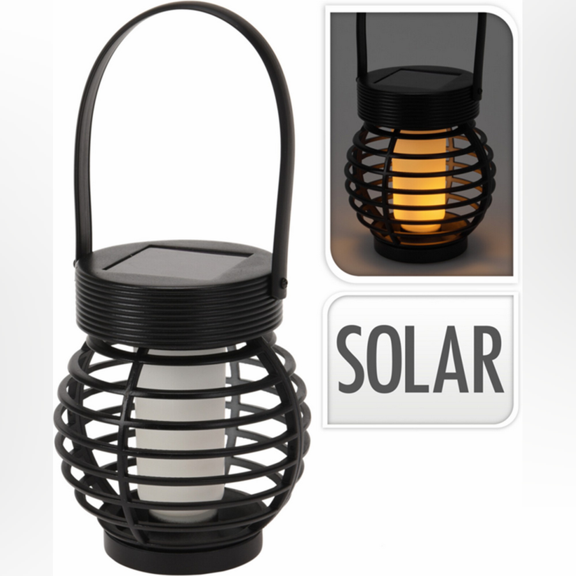 گڵۆپی خۆری لیدی باخچەی رەنگی رەش