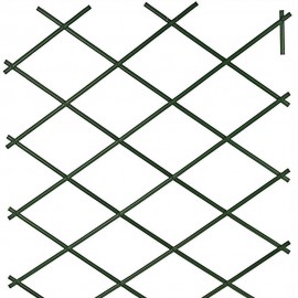 سیاجی دیکۆراتی قەدکراو